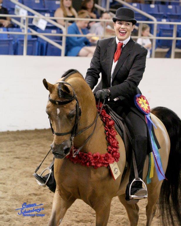Scottsdale Arabian Horse Show News for Tuesday, February 16, 2016