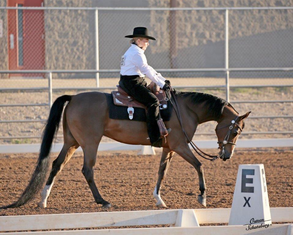 Scottsdale Arabian Horse Show News for Tuesday, February 16, 2016