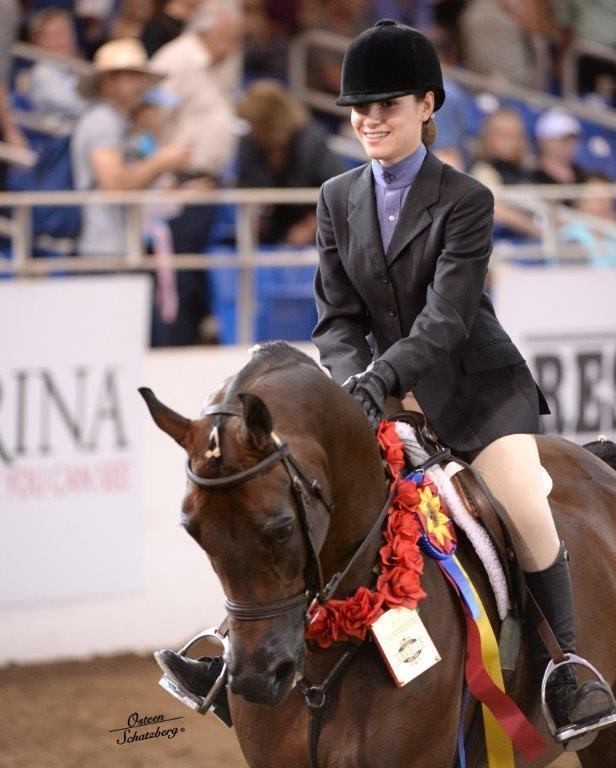 Scottsdale Arabian Horse Show News for Wednesday, February 17, 2016