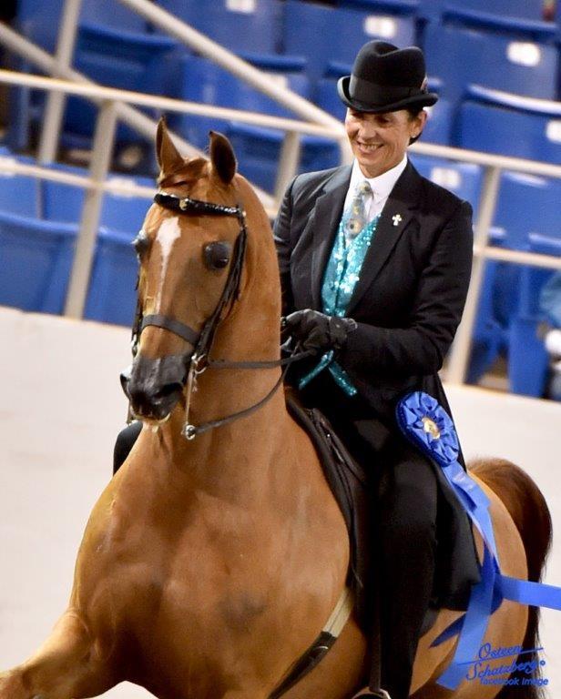 Scottsdale Arabian Horse Show News for Wednesday, February 17, 2016