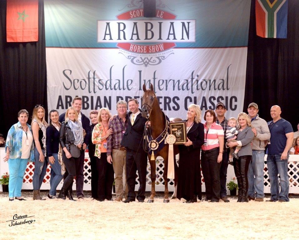 Scottsdale Arabian Horse Show News for Wednesday, February 17, 2016