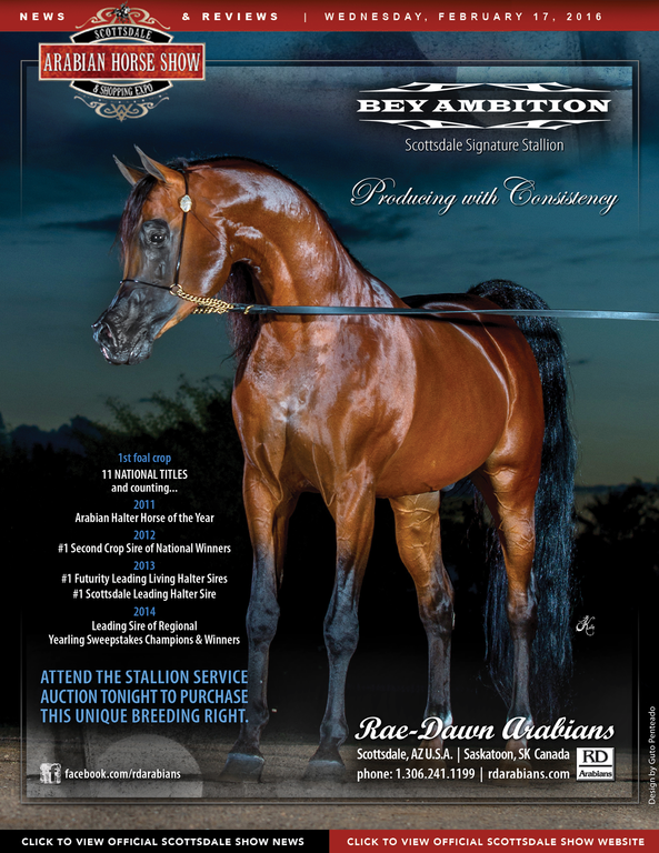 Scottsdale Arabian Horse Show News for Wednesday, February 17, 2016