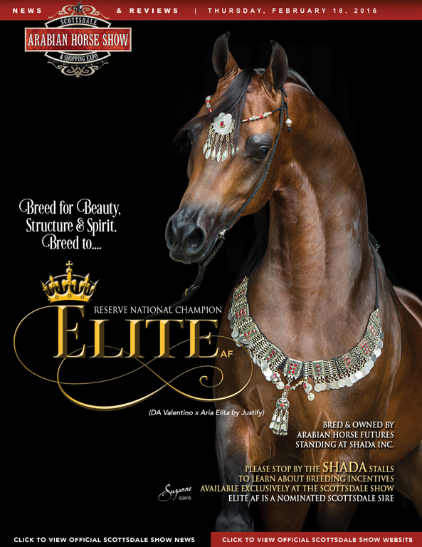 Scottsdale Arabian Horse Show News for Thursday, February 18, 2016