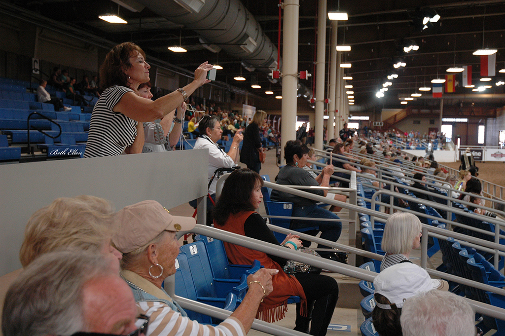 Scottsdale Arabian Horse Show News for Thursday, February 18, 2016