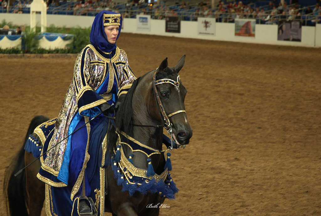 Scottsdale Arabian Horse Show News for Thursday, February 18, 2016