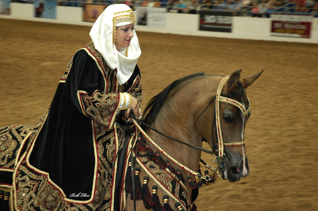 Scottsdale Arabian Horse Show News for Thursday, February 18, 2016