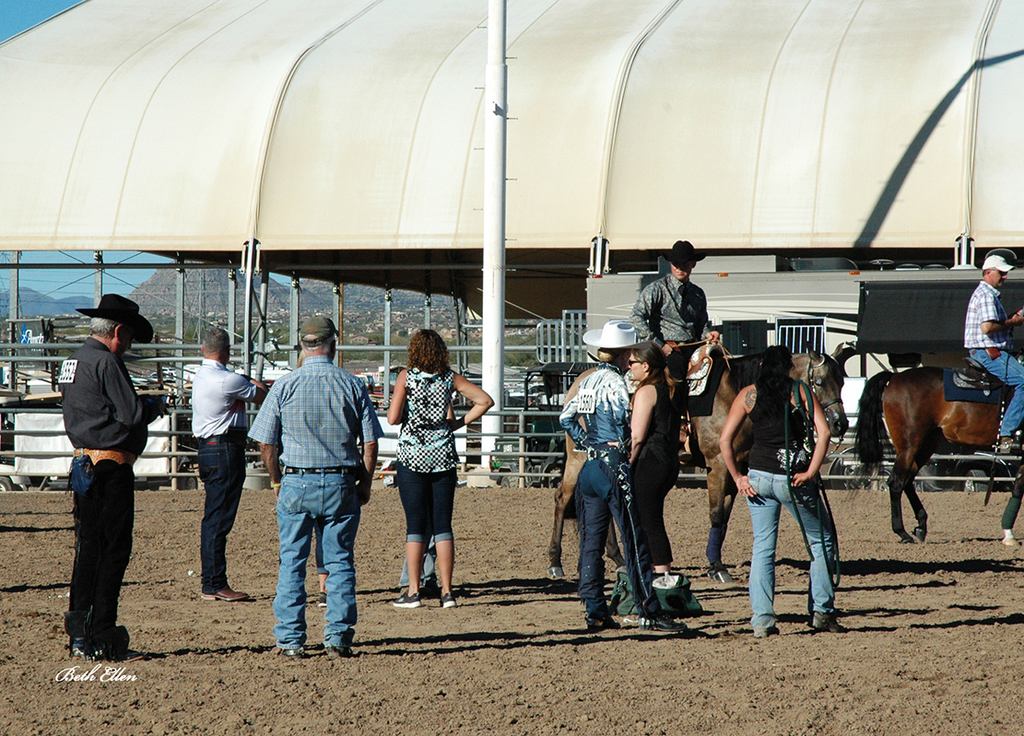 Scottsdale Arabian Horse Show News for Thursday, February 18, 2016