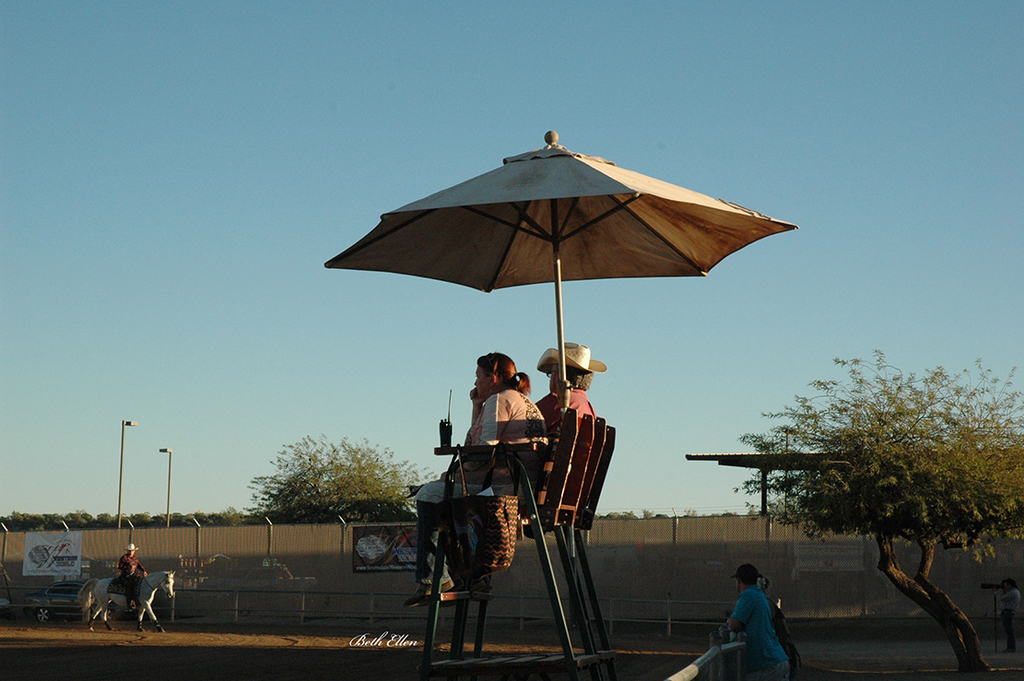 Scottsdale Arabian Horse Show News for Thursday, February 18, 2016