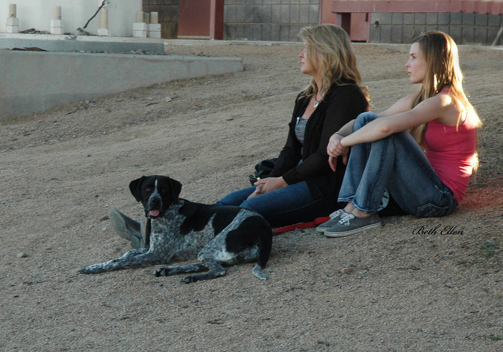 Scottsdale Arabian Horse Show News for Thursday, February 18, 2016