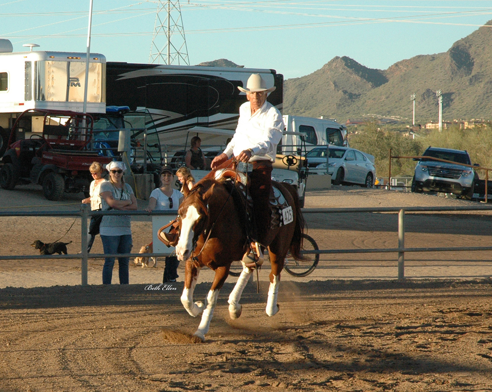 Scottsdale Arabian Horse Show News for Thursday, February 18, 2016
