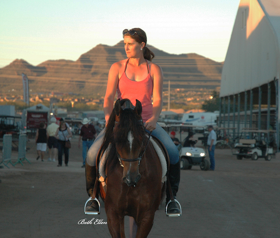 Scottsdale Arabian Horse Show News for Thursday, February 18, 2016