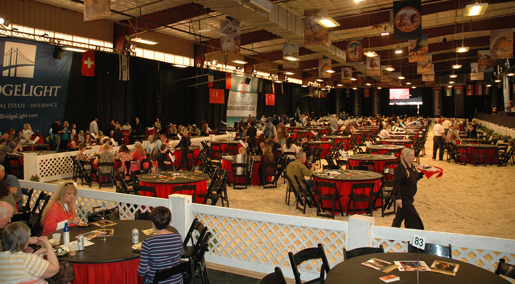 Scottsdale Arabian Horse Show News for Thursday, February 18, 2016