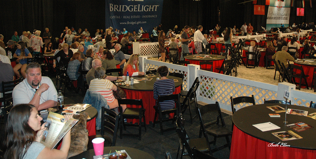 Scottsdale Arabian Horse Show News for Thursday, February 18, 2016