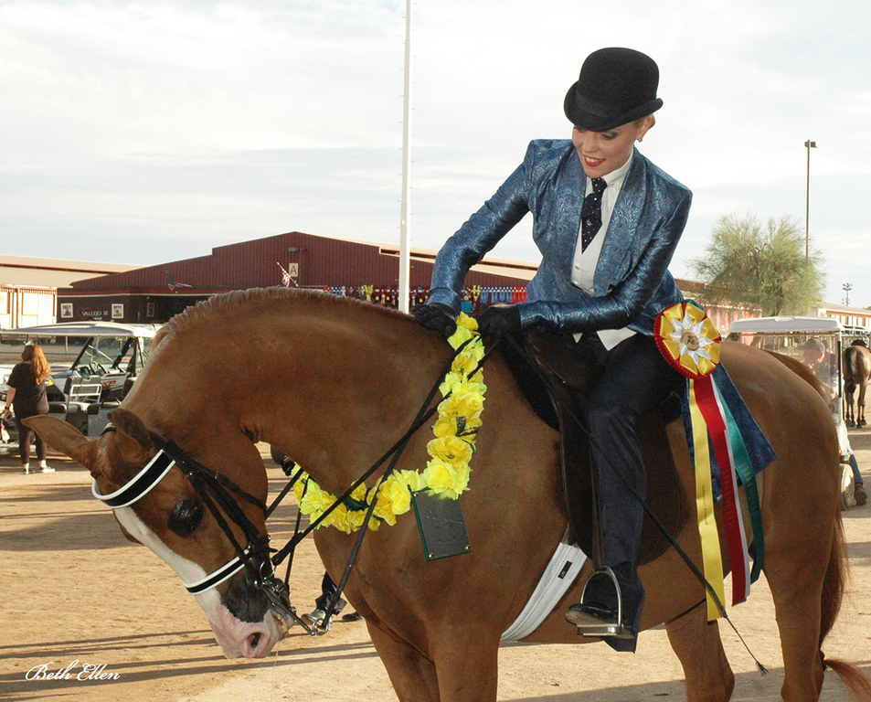 Scottsdale Arabian Horse Show News for Friday, February 19, 2016