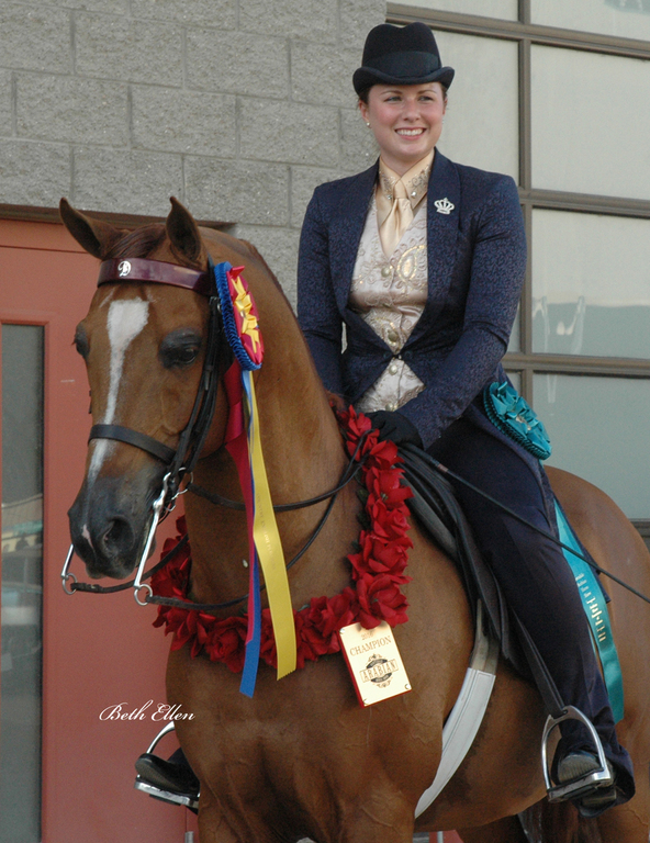 Scottsdale Arabian Horse Show News for Friday, February 19, 2016
