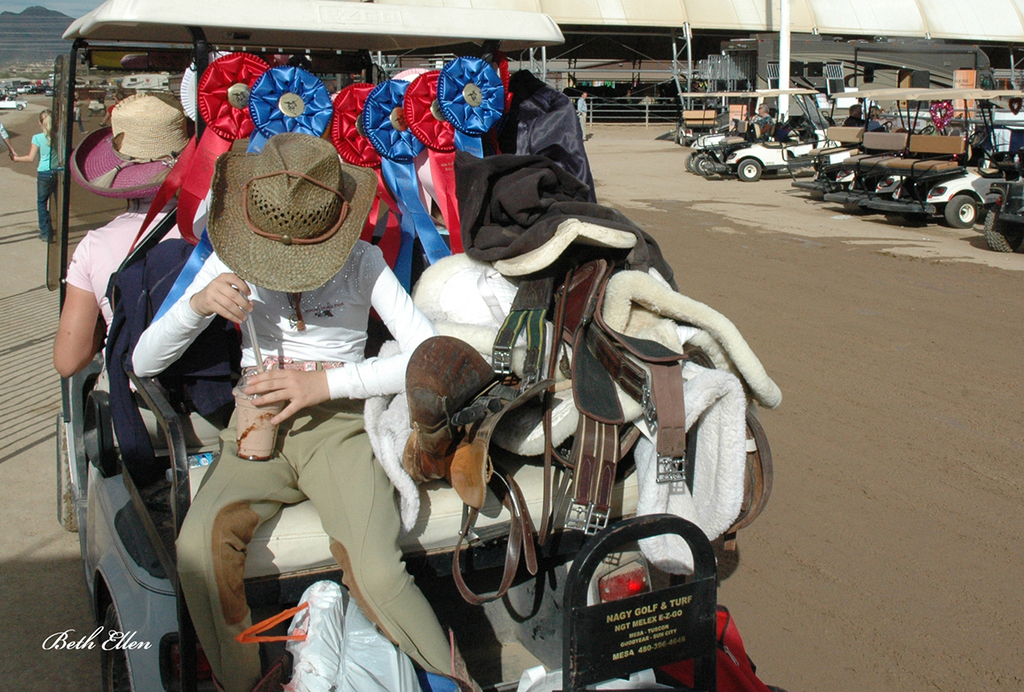 Scottsdale Arabian Horse Show News for Friday, February 19, 2016