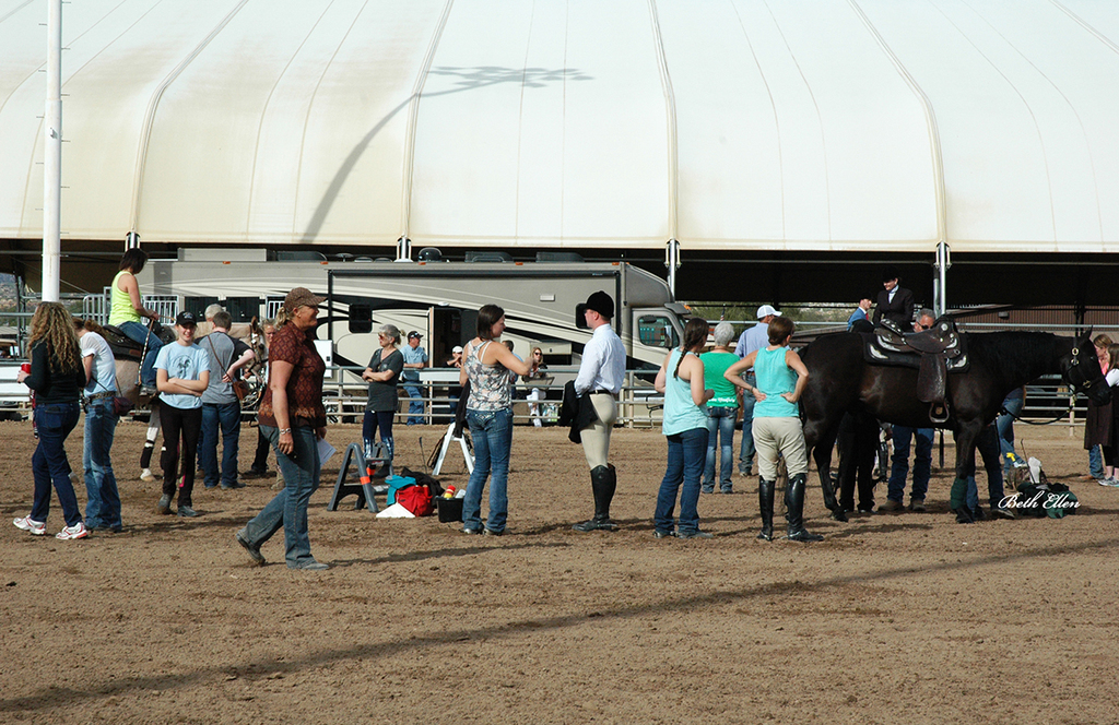 Scottsdale Arabian Horse Show News for Friday, February 19, 2016