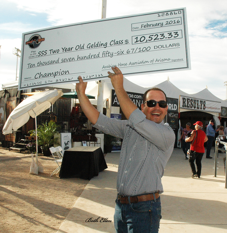 Scottsdale Arabian Horse Show News for Friday, February 19, 2016