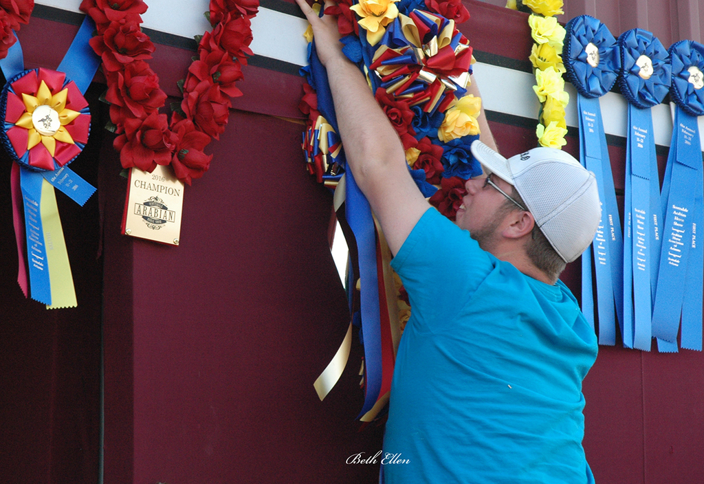 Scottsdale Arabian Horse Show News for Friday, February 19, 2016