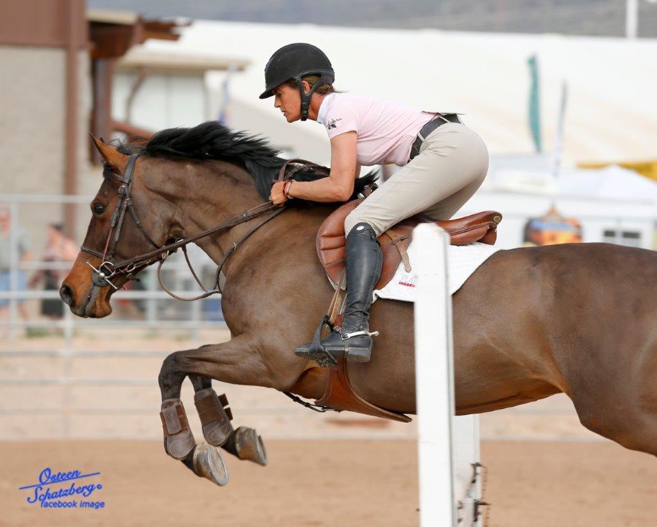Scottsdale Arabian Horse Show News for Friday, February 19, 2016