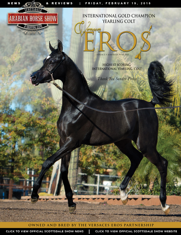 Scottsdale Arabian Horse Show News for Friday, February 19, 2016