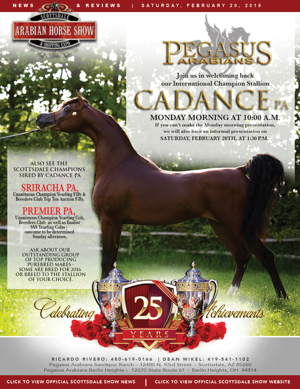 Scottsdale Arabian Horse Show News for Saturday, February 20, 2016