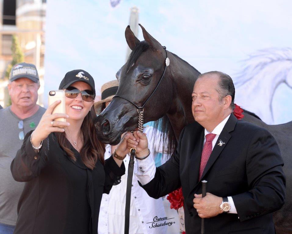 Scottsdale Arabian Horse Show News for Saturday, February 20, 2016