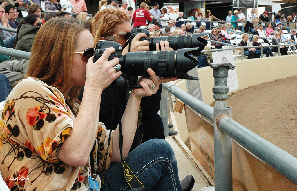 Scottsdale Arabian Horse Show News for Saturday, February 20, 2016