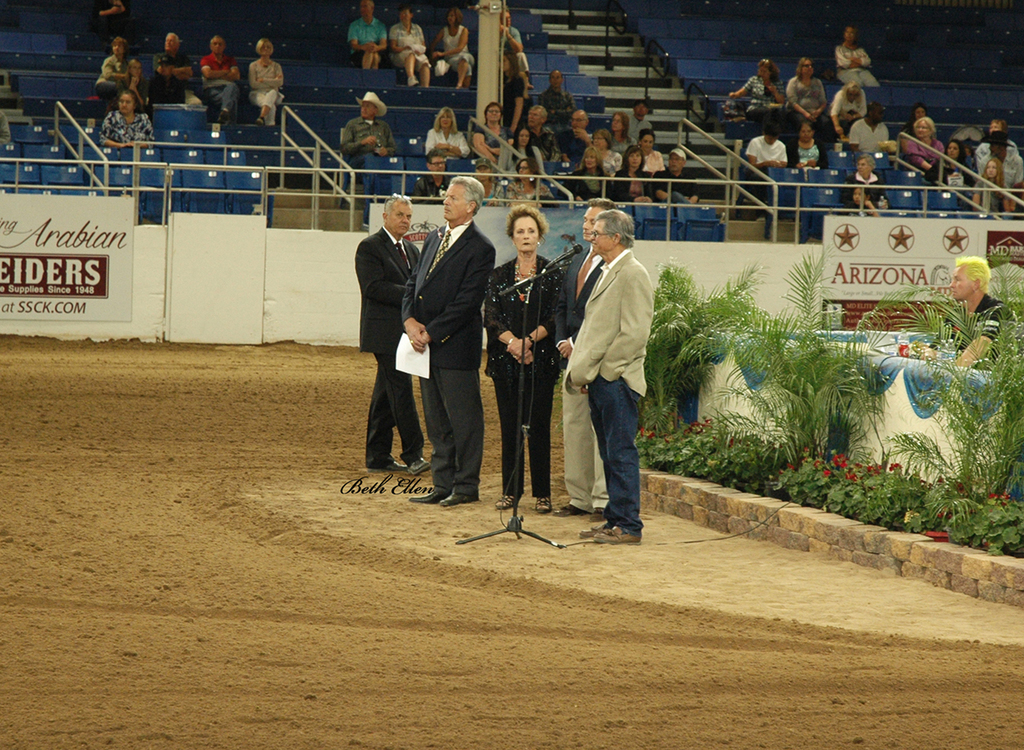 Scottsdale Arabian Horse Show News for Saturday, February 20, 2016