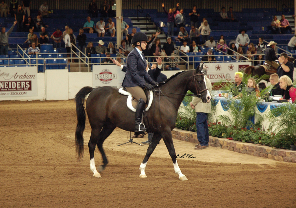 Scottsdale Arabian Horse Show News for Saturday, February 20, 2016