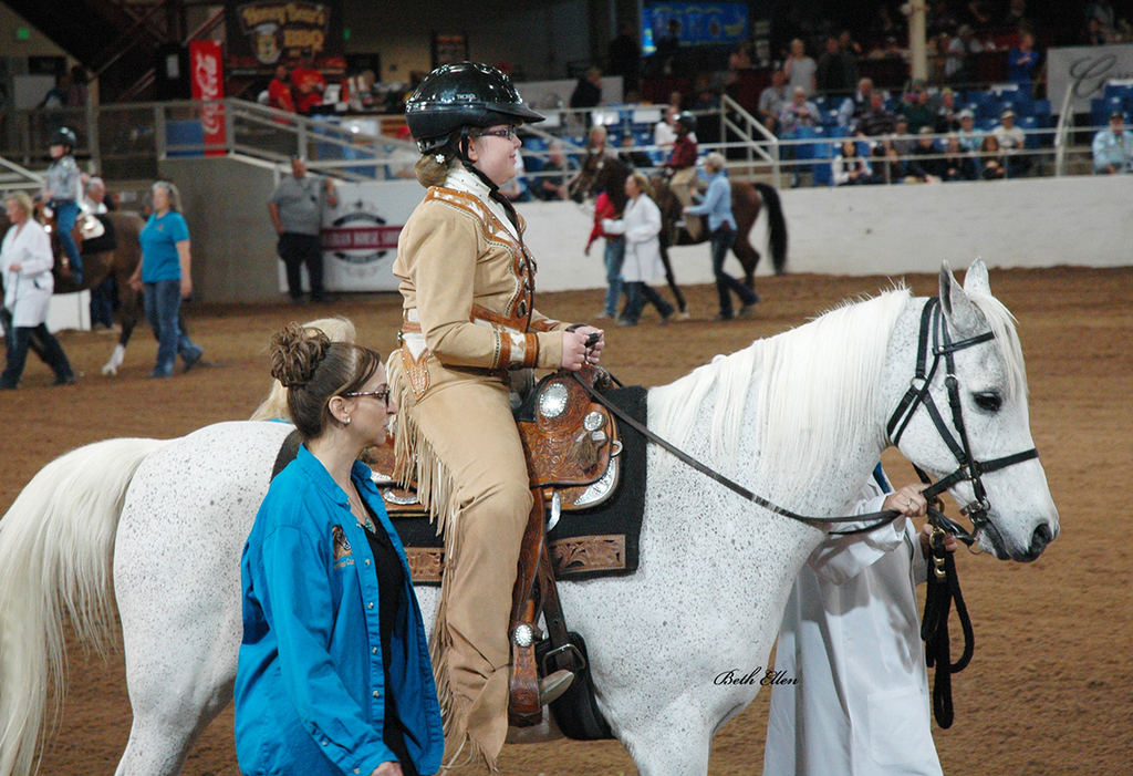 Scottsdale Arabian Horse Show News for Saturday, February 20, 2016