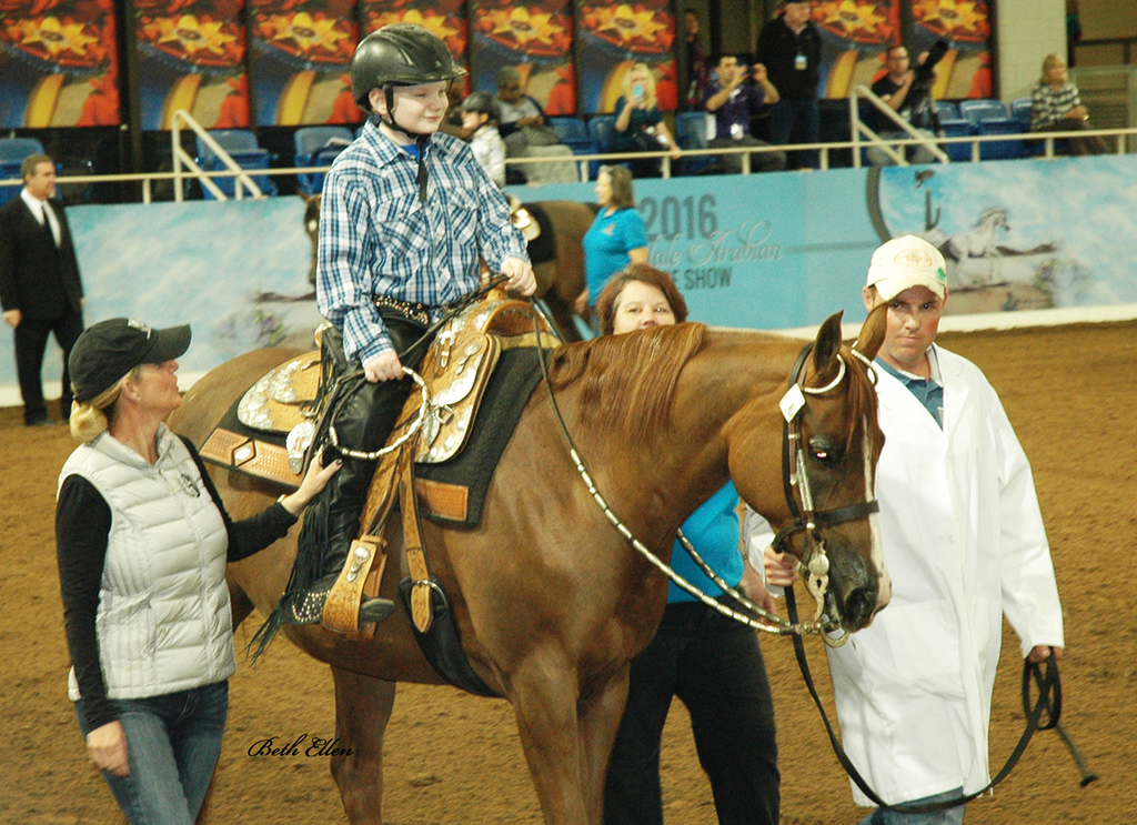 Scottsdale Arabian Horse Show News for Saturday, February 20, 2016