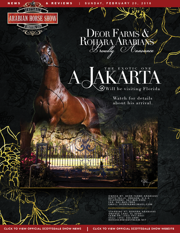 Scottsdale Arabian Horse Show News for Sunday, February 21, 2016
