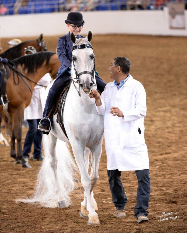 Scottsdale Arabian Horse Show News for Sunday, February 21, 2016