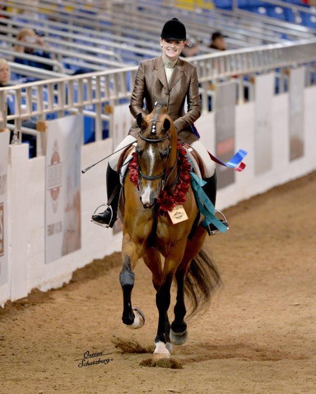 Scottsdale Arabian Horse Show News for Sunday, February 21, 2016