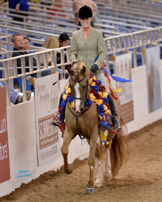 Scottsdale Arabian Horse Show News for Sunday, February 21, 2016