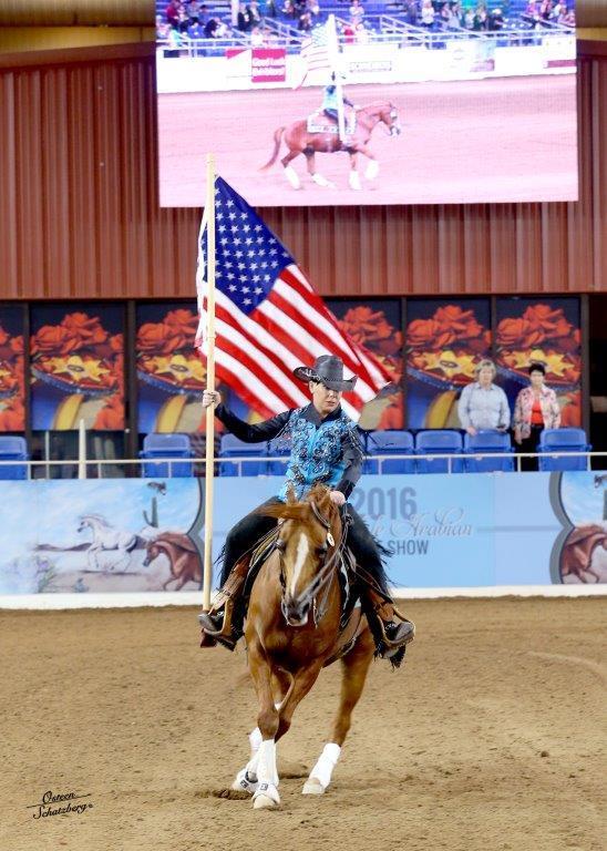 Scottsdale Arabian Horse Show News for Sunday, February 21, 2016