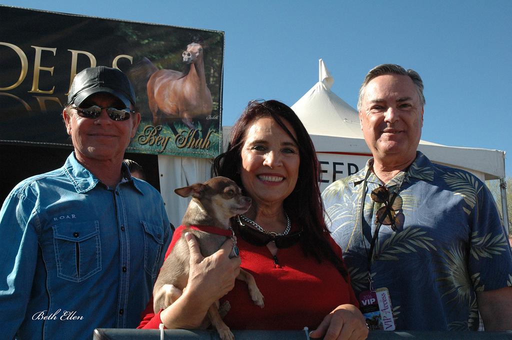 Scottsdale Arabian Horse Show News Finals and Wrap Up for 2016