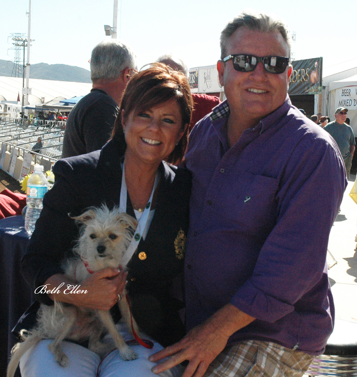 Scottsdale Arabian Horse Show News Finals and Wrap Up for 2016