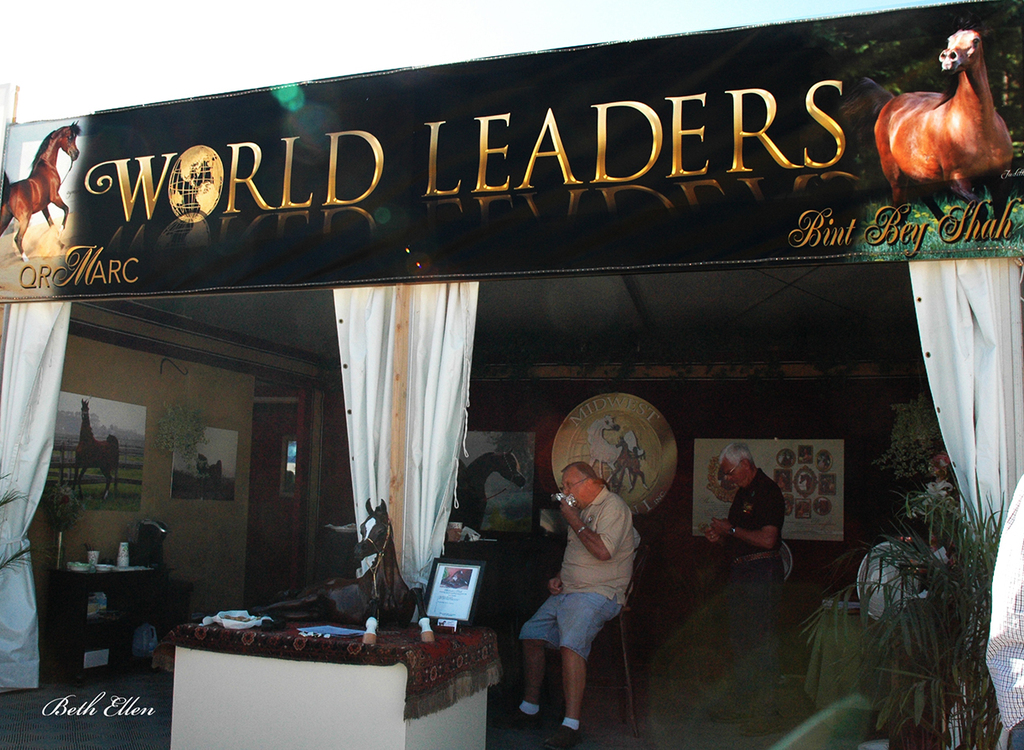 Scottsdale Arabian Horse Show News Finals and Wrap Up for 2016