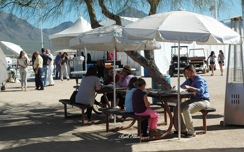 Scottsdale Arabian Horse Show News Finals and Wrap Up for 2016