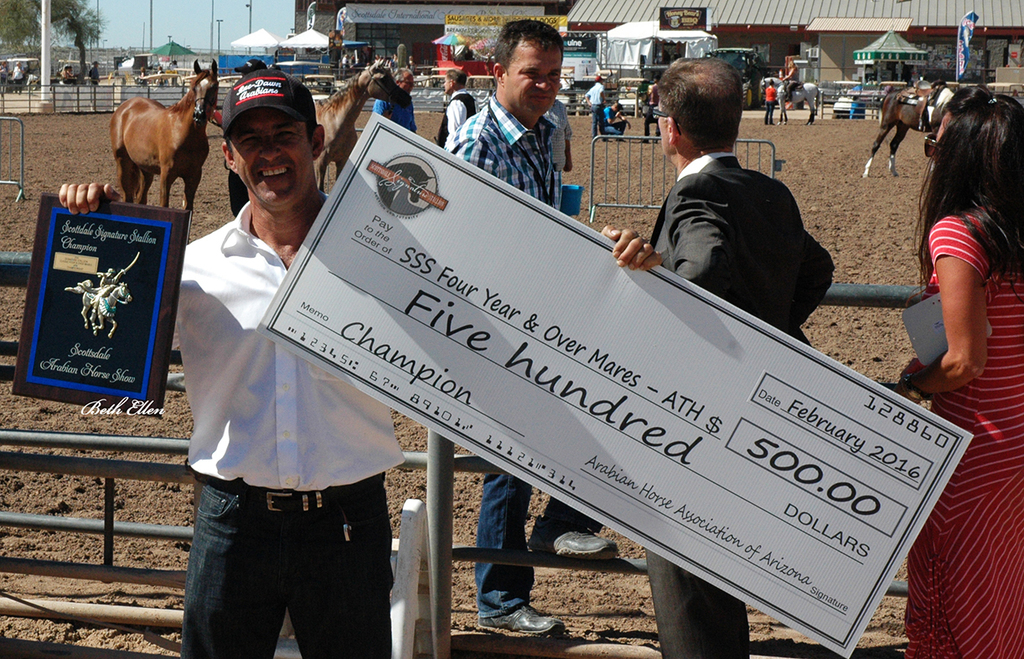 Scottsdale Arabian Horse Show News Finals and Wrap Up for 2016