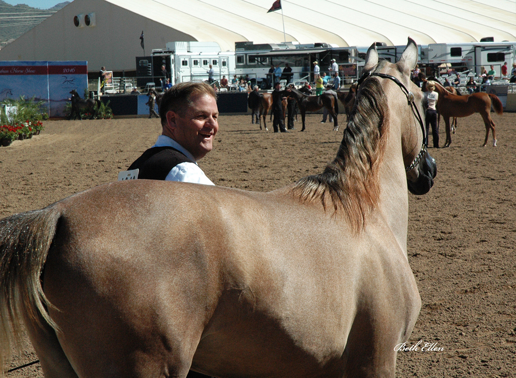Scottsdale Arabian Horse Show News Finals and Wrap Up for 2016