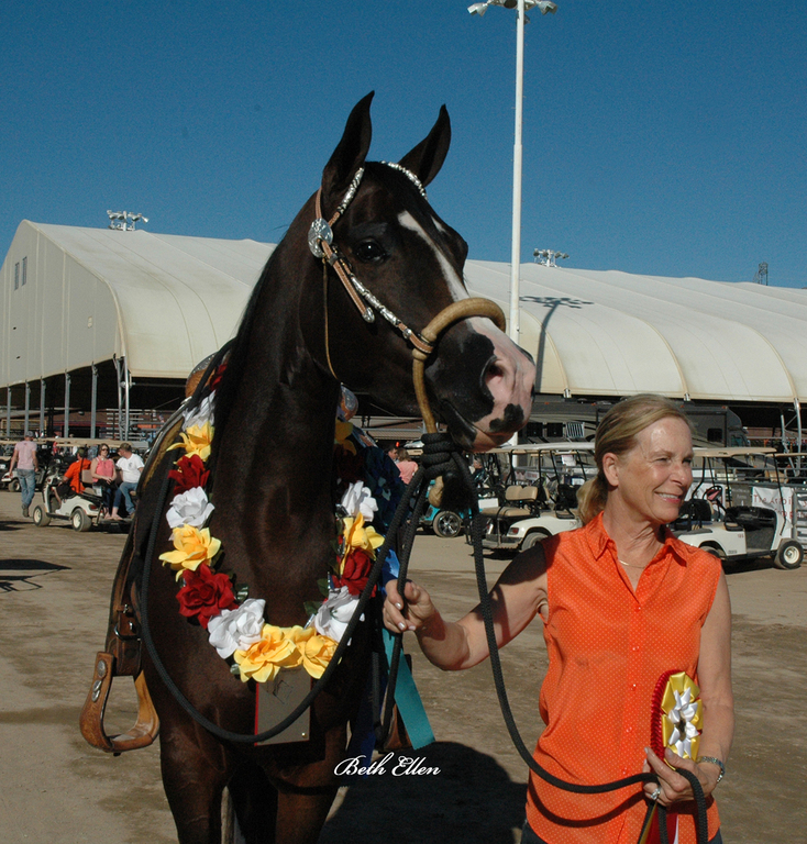 Scottsdale Arabian Horse Show News Finals and Wrap Up for 2016