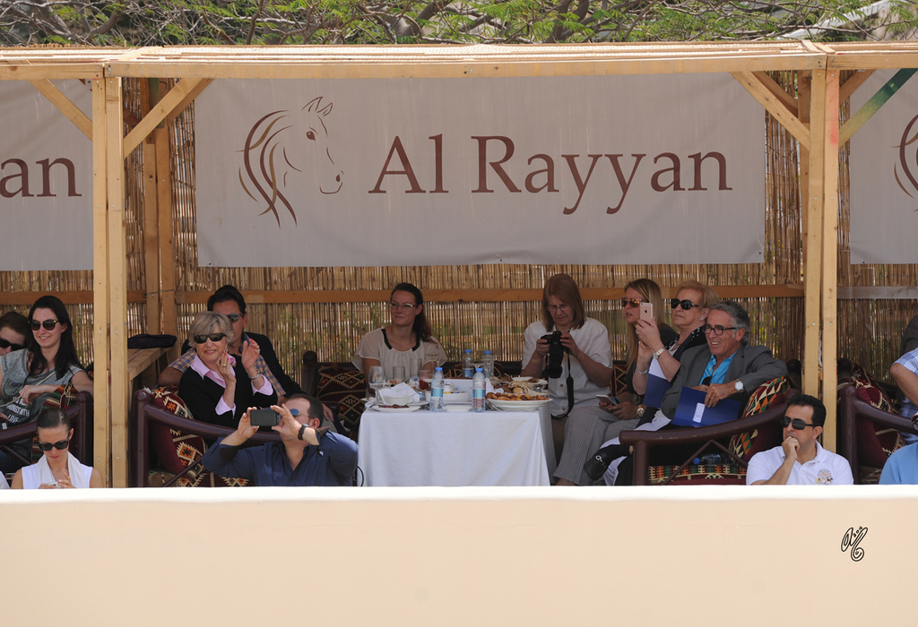 The 2016 Al Rayyan Presentation of Horses