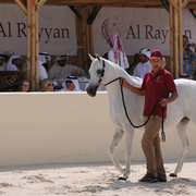 The 2016 Al Rayyan Presentation of Horses