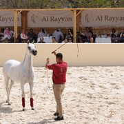 The 2016 Al Rayyan Presentation of Horses