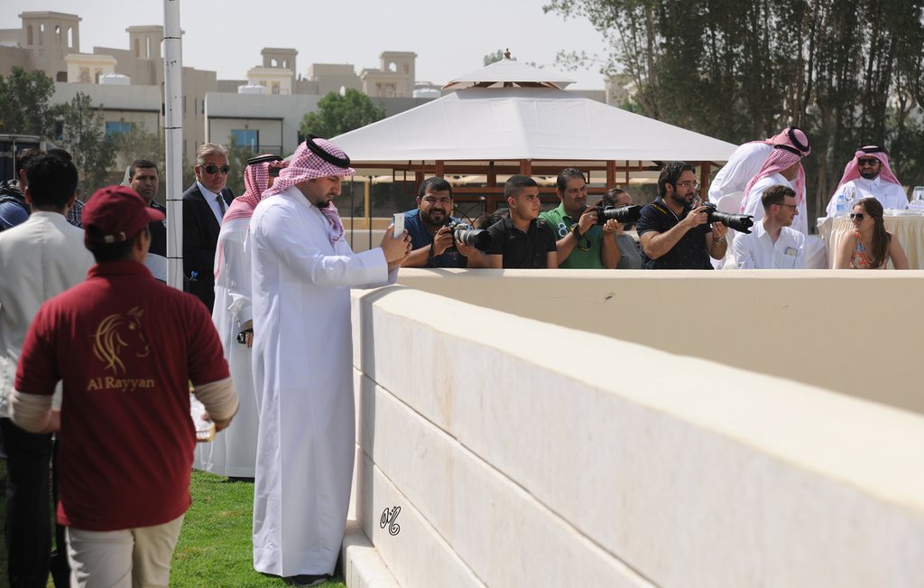 The 2016 Al Rayyan Presentation of Horses