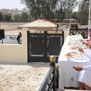 The 2016 Al Rayyan Presentation of Horses