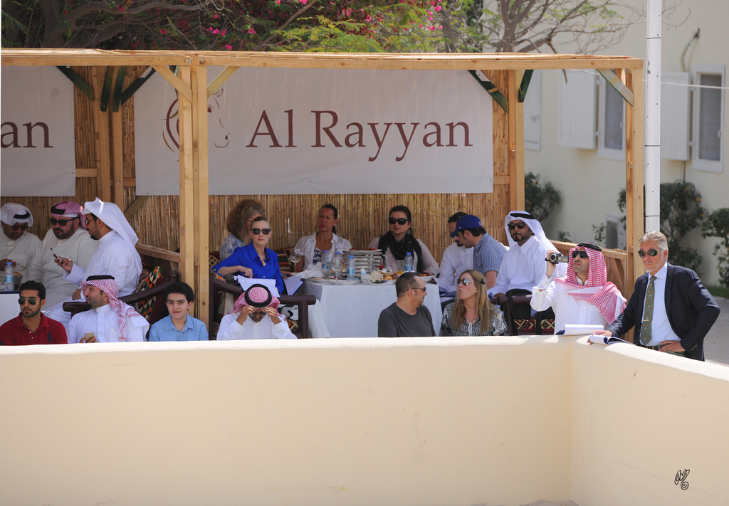 The 2016 Al Rayyan Presentation of Horses